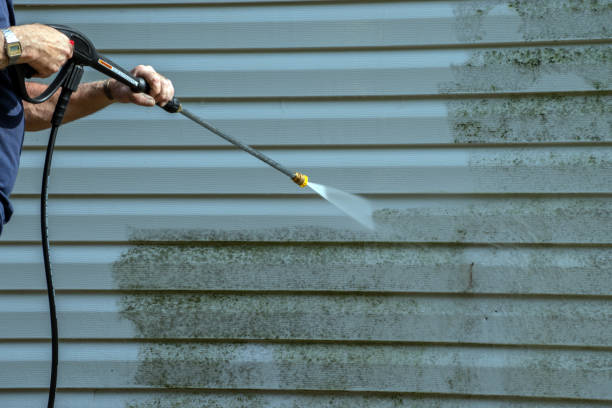 Best Sidewalk and Walkway Cleaning  in La Nte, MO